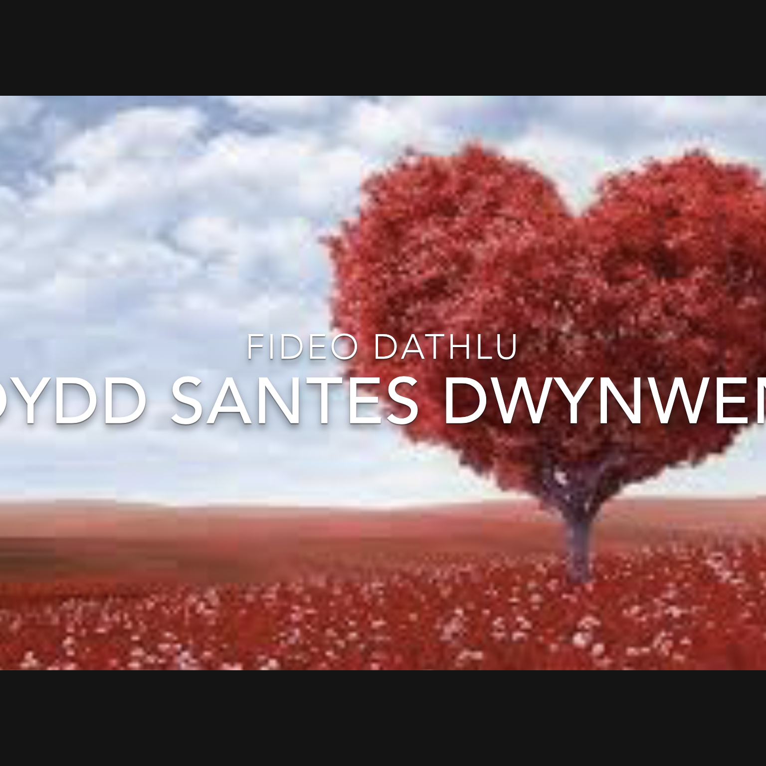 Dwynwen Fideo